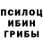 Галлюциногенные грибы мухоморы Eddy Choque